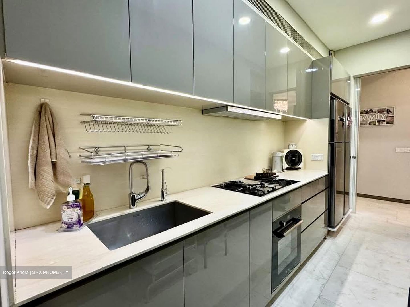 Robin Residences (D10), Condominium #559735841